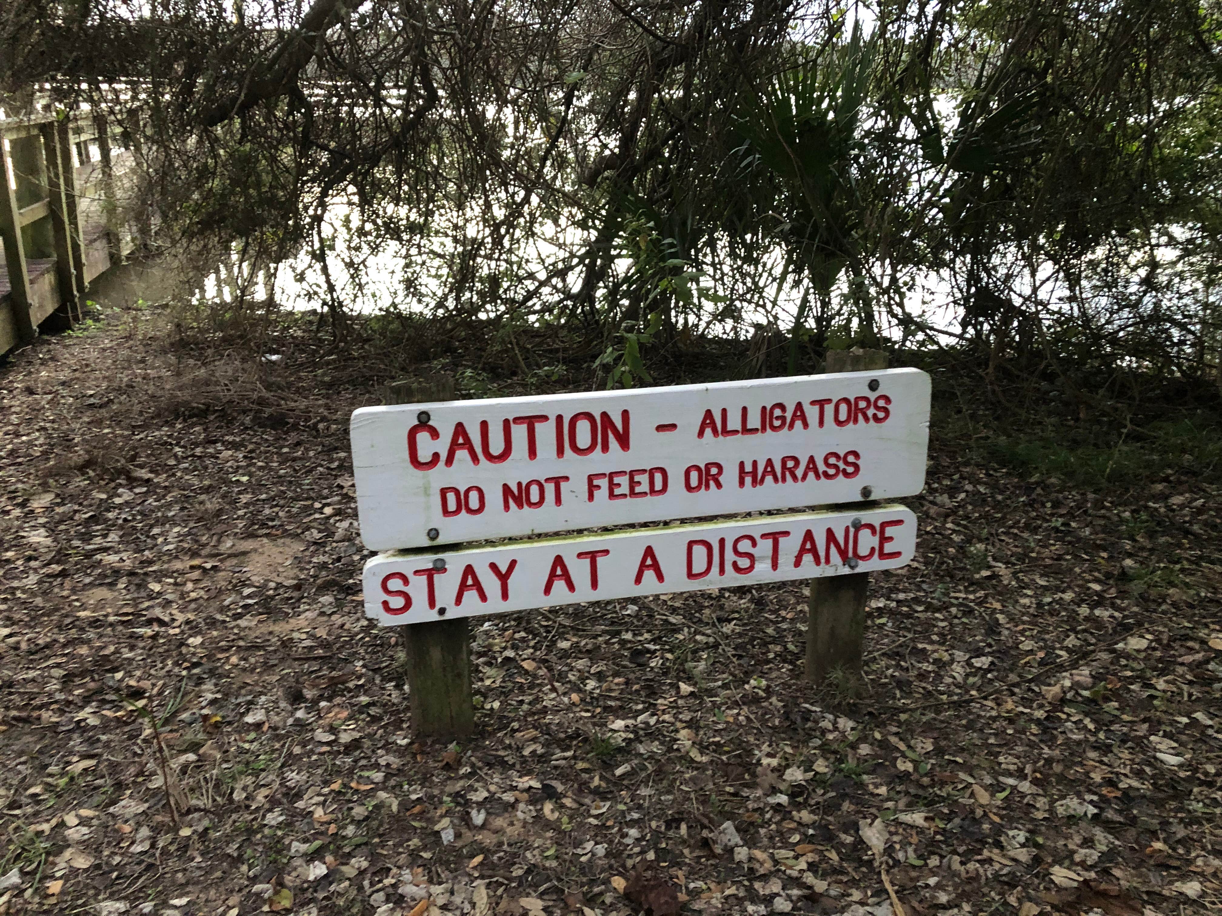 Camper submitted image from Texana Park & Campground - 4