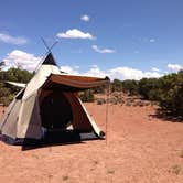 Review photo of Island In The Sky (Willow Flat) Campground — Canyonlands National Park by david B., January 24, 2022