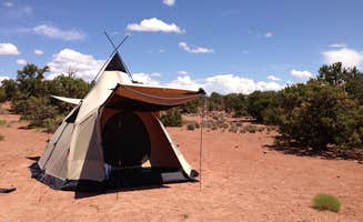 david B.'s photo at Island In The Sky (Willow Flat) Campground — Canyonlands National Park near Canyonlands National Park