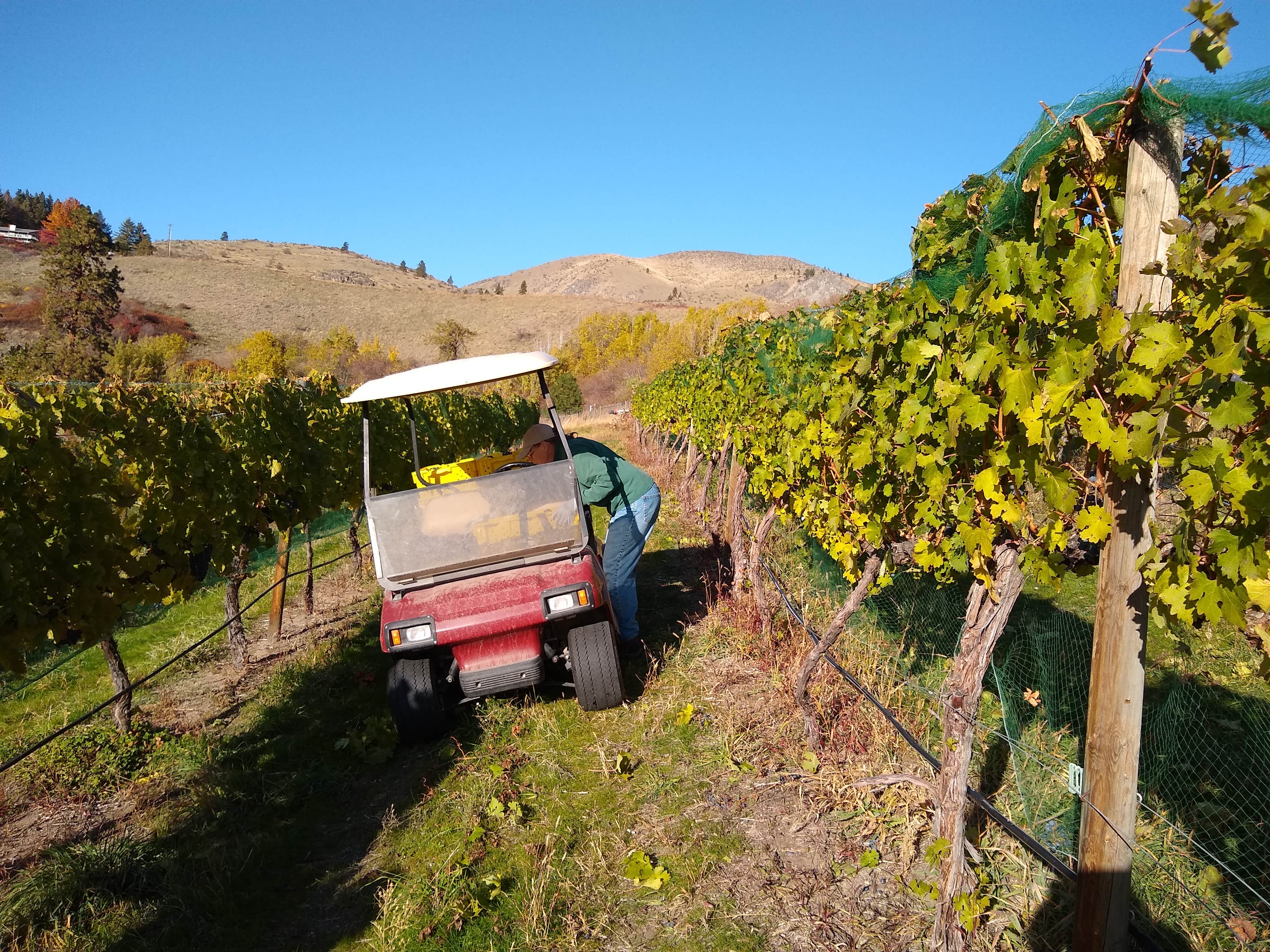 Camper-submitted photo at Cheval Cellars Wine Camp near Chelan, WA
