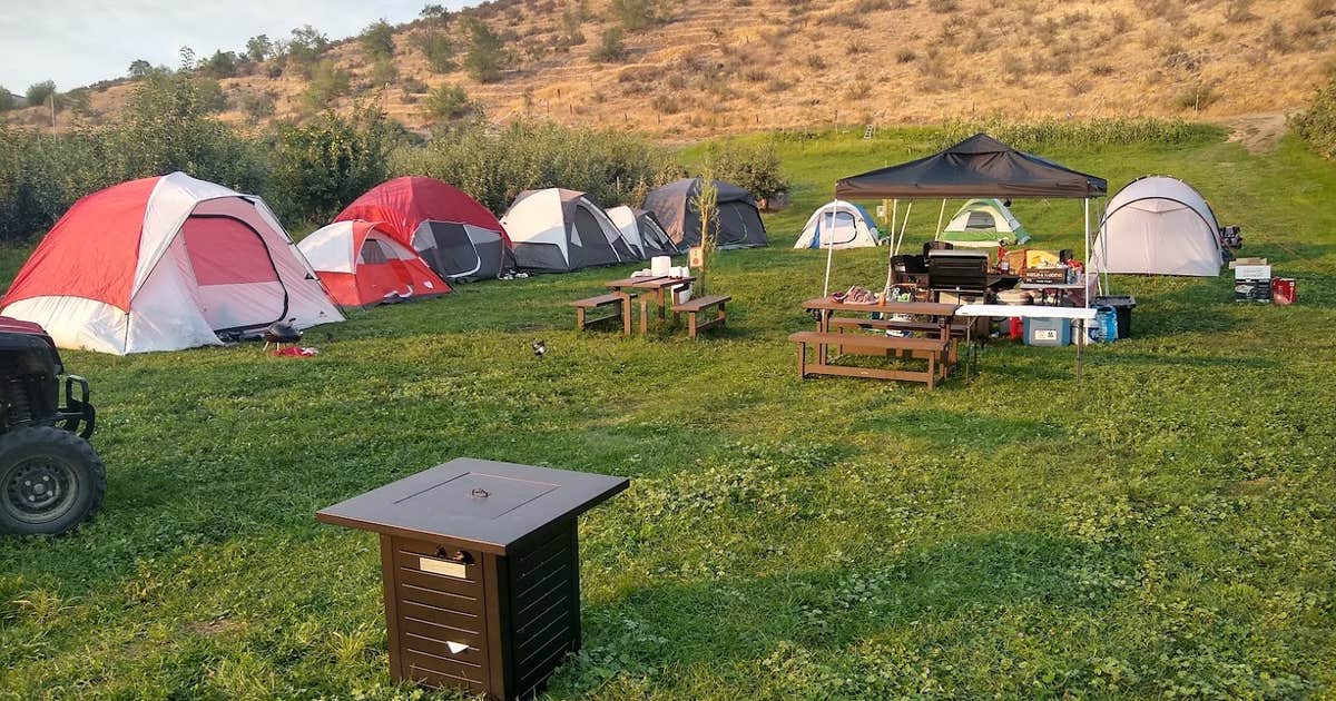 Cheval Cellars Wine Camp