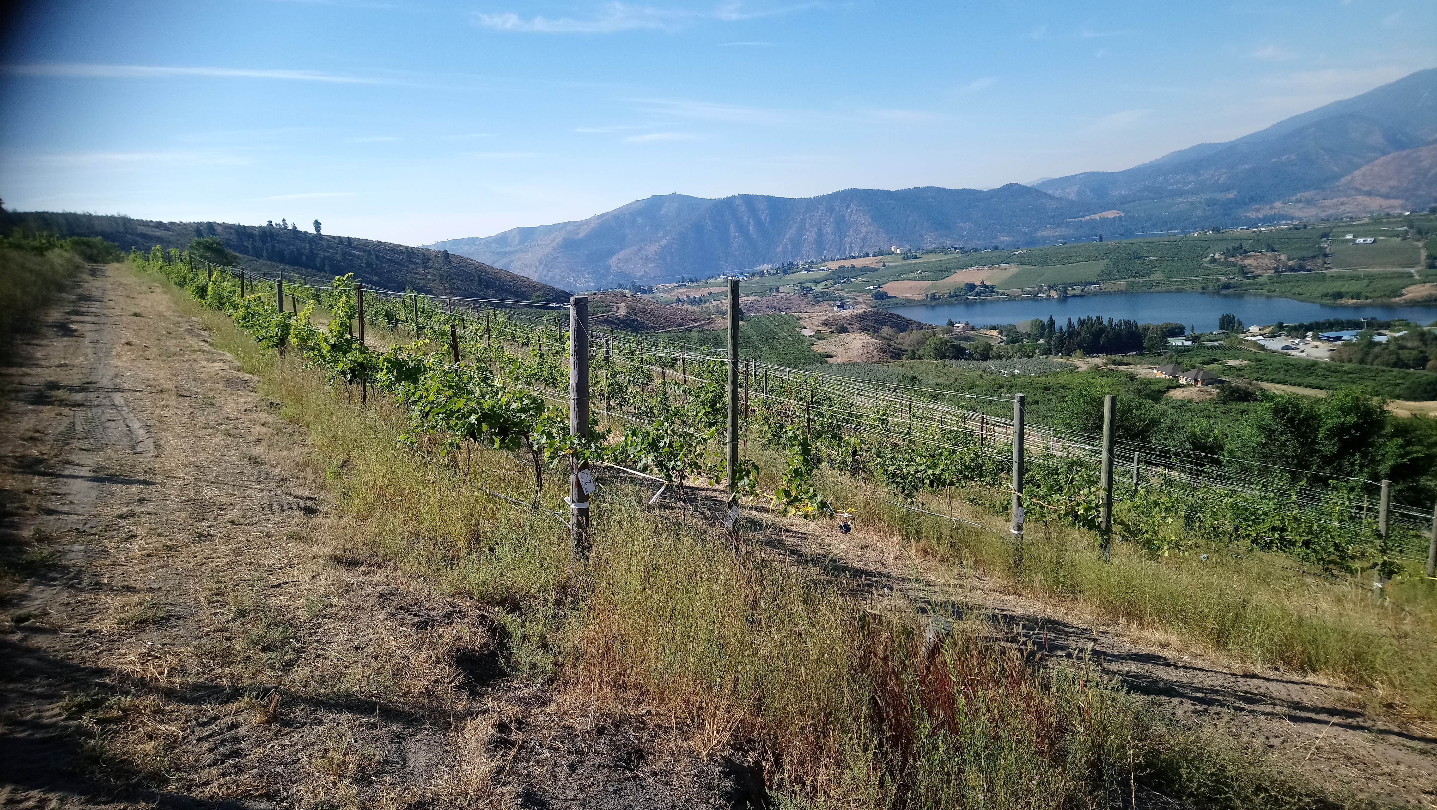 Camper-submitted photo at Cheval Cellars Wine Camp near Chelan, WA