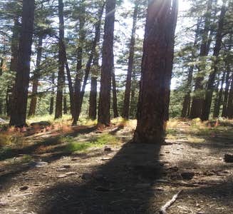 Camper-submitted photo from Prescott National Forest Dispersed