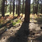 Review photo of Prescott National Forest Dispersed by Kristin P., January 24, 2022