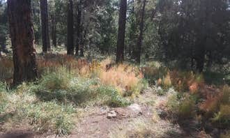 Camping near Burro Creek Campground: Prescott National Forest Dispersed, Prescott, Arizona