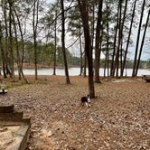 Review photo of Clarkco State Park Campground by Mark E., January 25, 2022