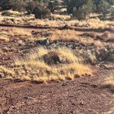 Review photo of Capitol Reef Dispersed Camping by CC C., January 25, 2022