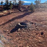 Review photo of Capitol Reef Dispersed Camping by CC C., January 25, 2022