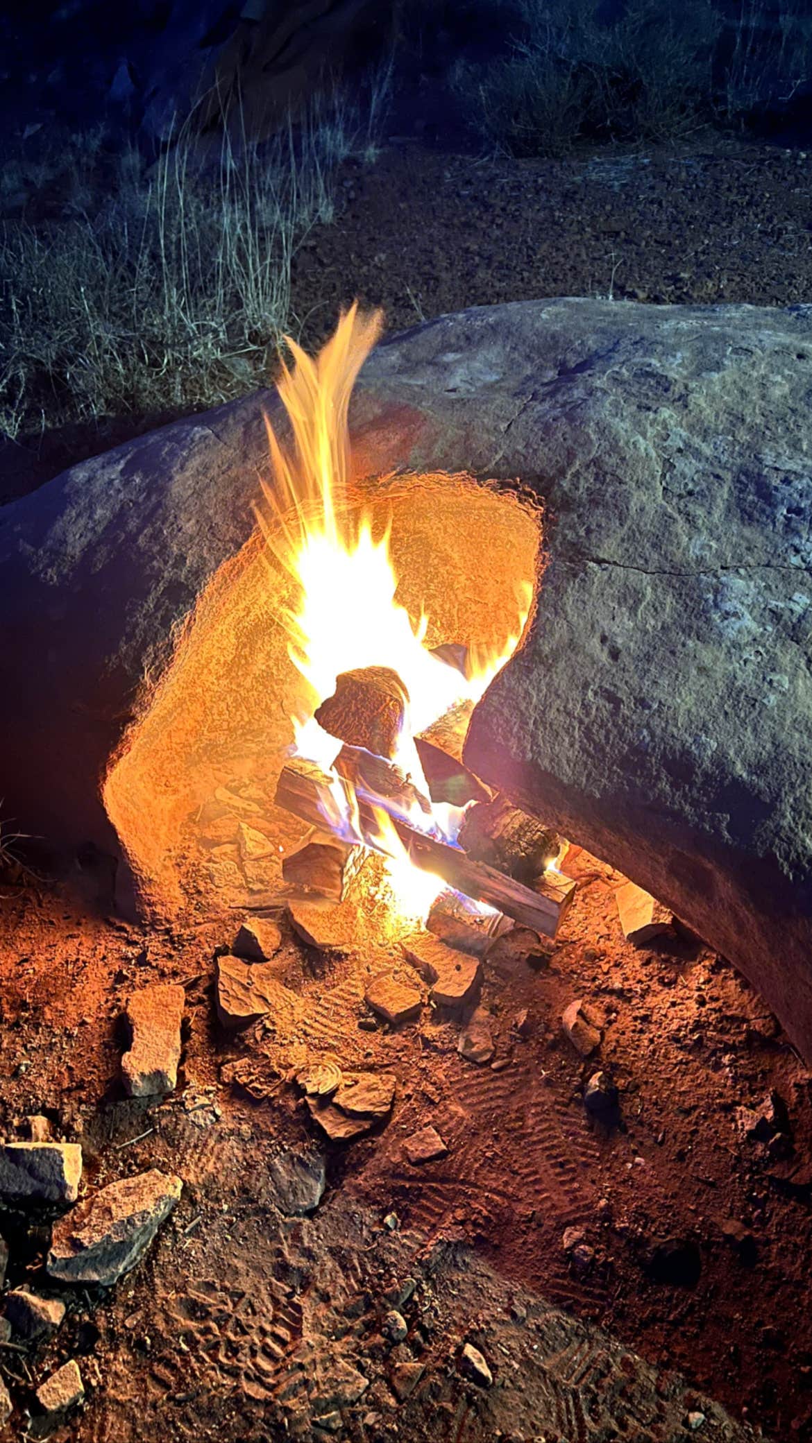 Camper submitted image from Cooks Mesa Trailhead Dispersed - 1