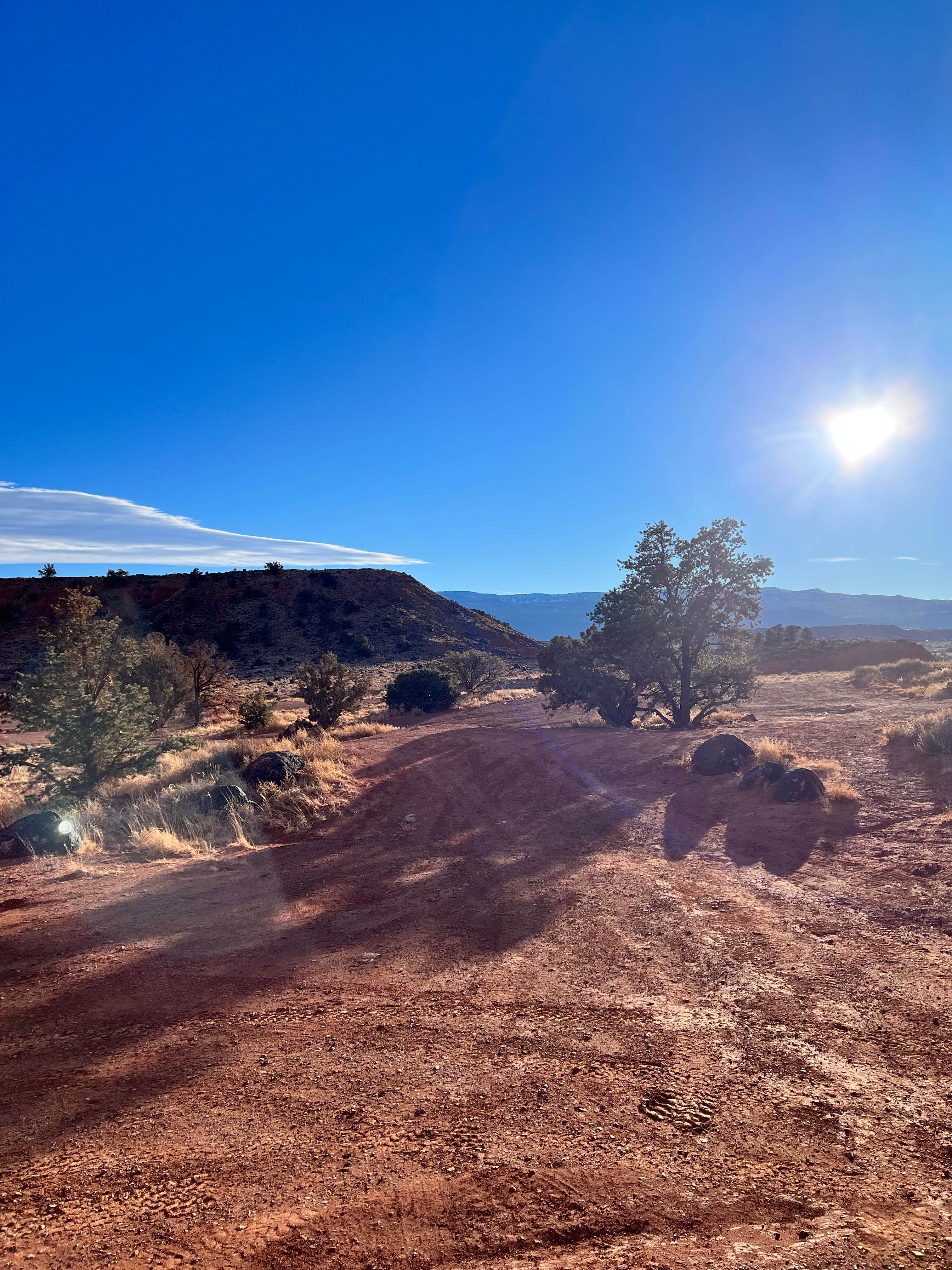 Camper submitted image from Cooks Mesa Trailhead Dispersed - 3