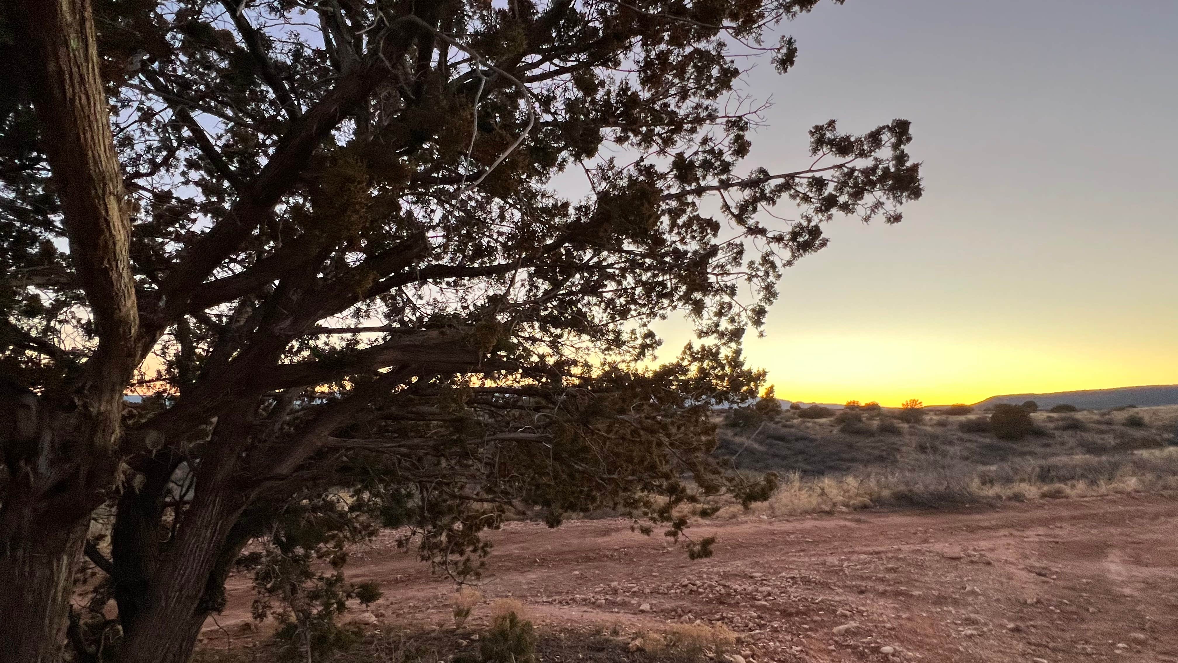 Camper-submitted photo at Forest Road 525C -Sycamore Pass Dispersed - TEMPORARILY CLOSED near Cottonwood, AZ