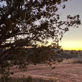 Review photo of Forest Road 525C -Sycamore Pass Dispersed - TEMPORARILY CLOSED by Chip & Ted Y., January 25, 2022