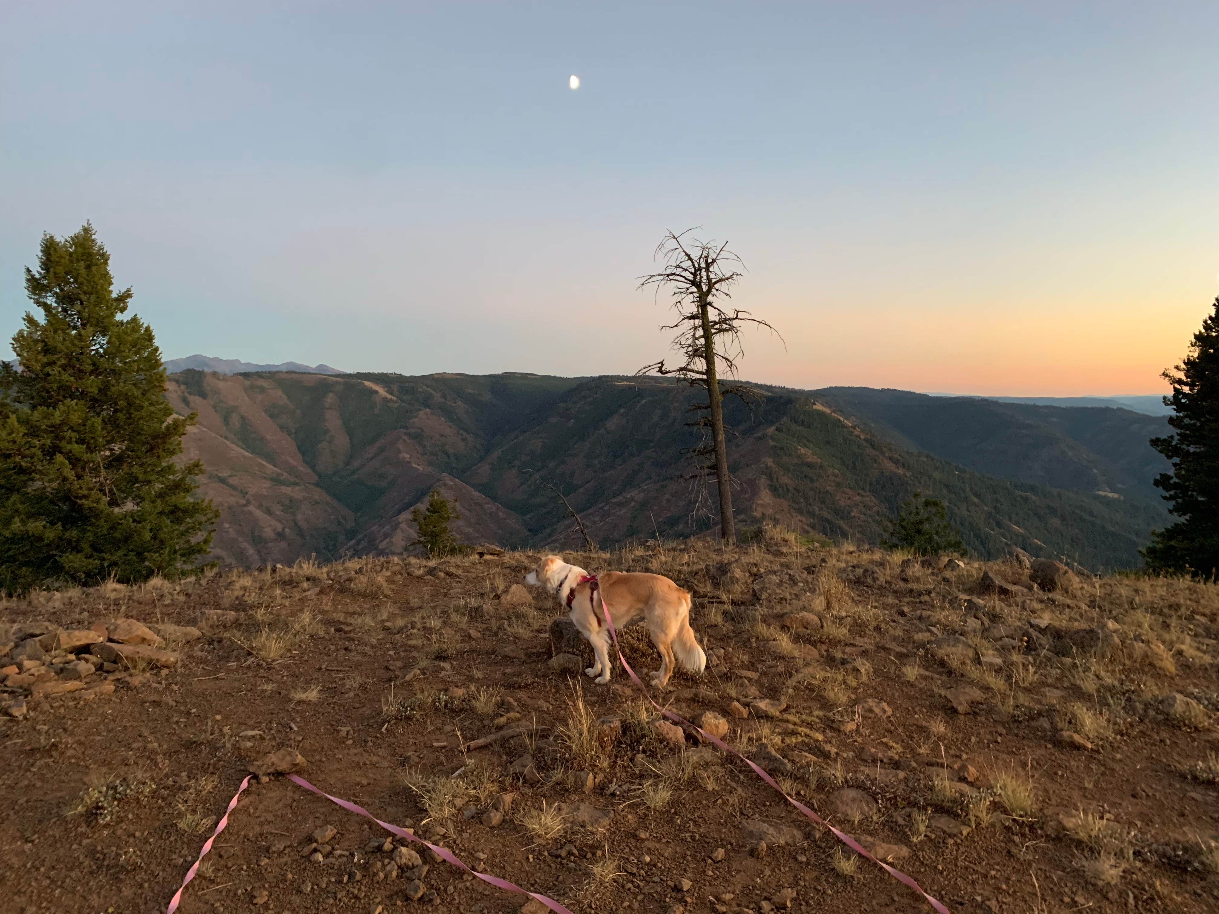 Camping near Kirkwood Ranch: Hells Canyon Overlook Near Saddle Creek - Dispersed Site, Imnaha, Oregon