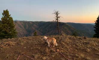 Camping near Papoose Campground: Hells Canyon Overlook Near Saddle Creek - Dispersed Site, Imnaha, Oregon