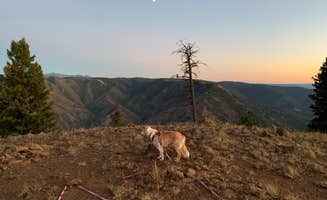 Ranier E.'s photo of camping with pets at Hells Canyon Overlook Near Saddle Creek - Dispersed Site near Enterprise, OR