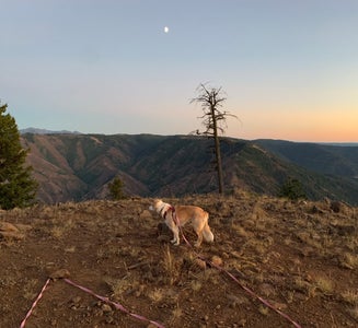 Camper-submitted photo from Hells Canyon Overlook Near Saddle Creek - Dispersed Site