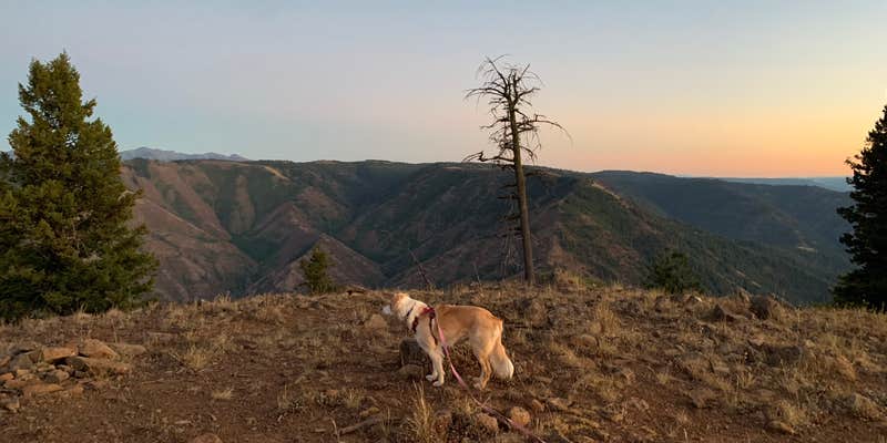 Camper submitted image from Hells Canyon Overlook Near Saddle Creek - Dispersed Site