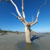 Review photo of Hunting Island State Park Campground by Our Tiny Camper B., January 25, 2022