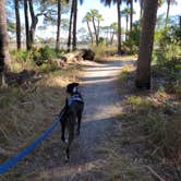 Review photo of Hunting Island State Park Campground by Our Tiny Camper B., January 25, 2022