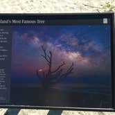 Review photo of Hunting Island State Park Campground by Our Tiny Camper B., January 25, 2022