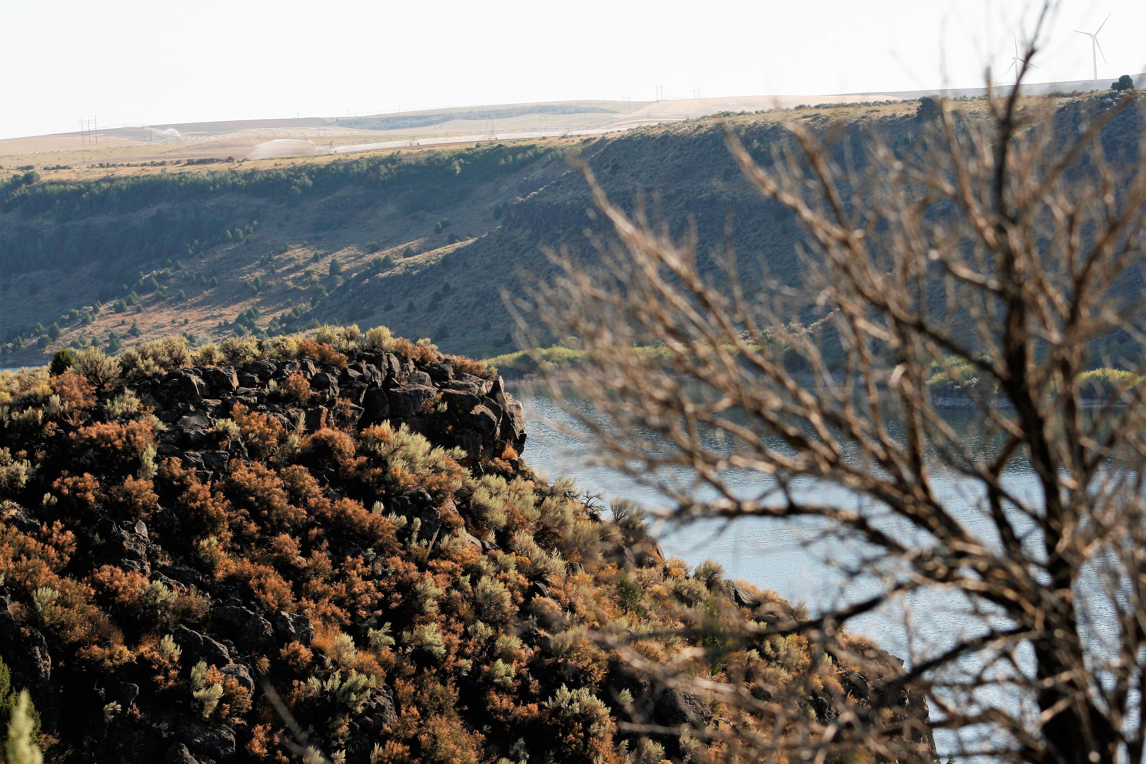 Camper submitted image from Juniper Group Campsite — City of Rocks National Reserve - 1