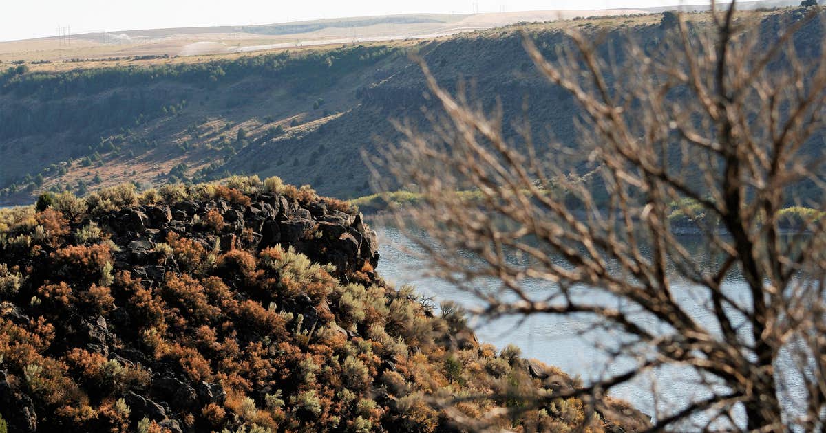 Juniper Group Campsite — City of Rocks National Reserve
