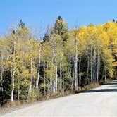 Review photo of Pa-Co-Chu-Puk Campground — Ridgway State Park by Lawrence P., September 11, 2021