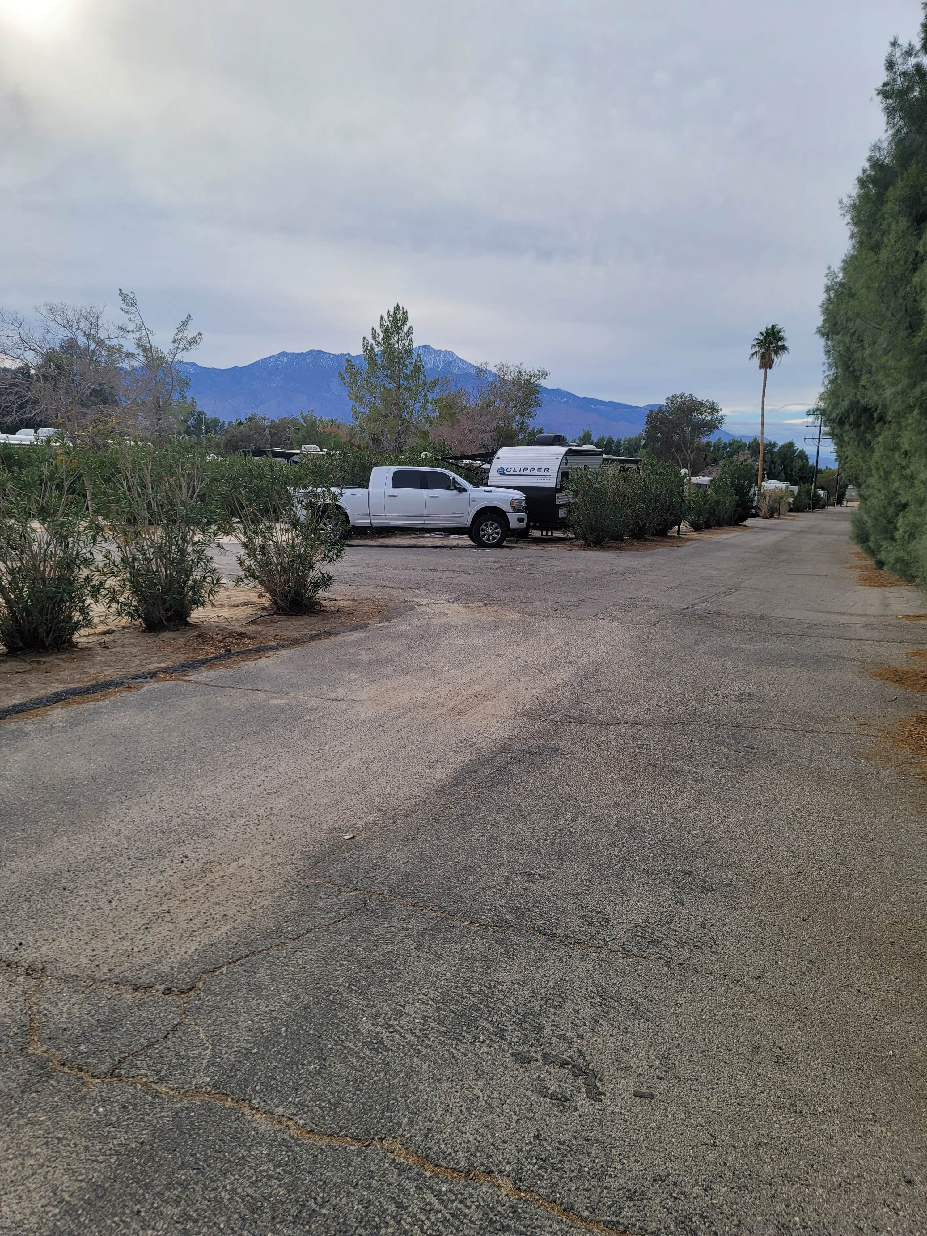 Taylor A.'s photo of rv camping at Catalina Spa and RV Resort near Whitewater, CA