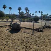 Review photo of Catalina Spa and RV Resort by Taylor A., January 26, 2022