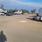Review photo of Wild West Ranch & RV Resort by Taylor A., January 26, 2022