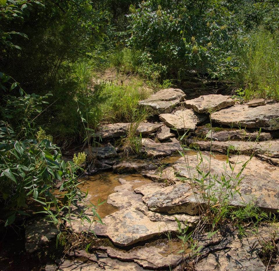 Camper-submitted photo at Mount Magazine State Park Campground near Casa, AR