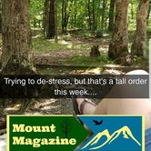 Review photo of Mount Magazine State Park Campground by Christine N., July 9, 2018