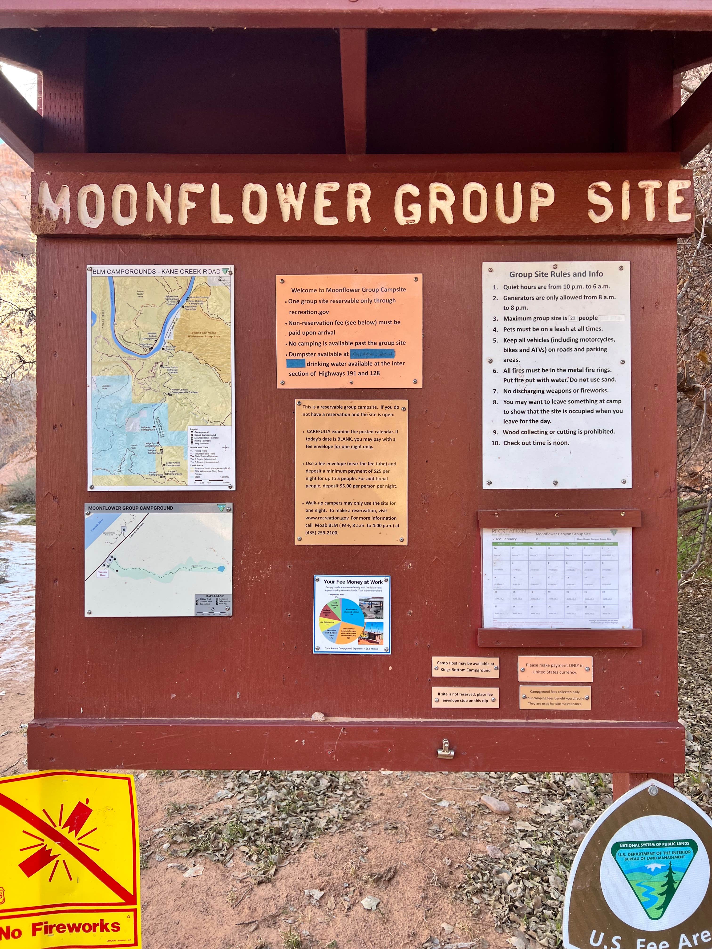 Camper submitted image from Moonflower Canyon Group Site - 4