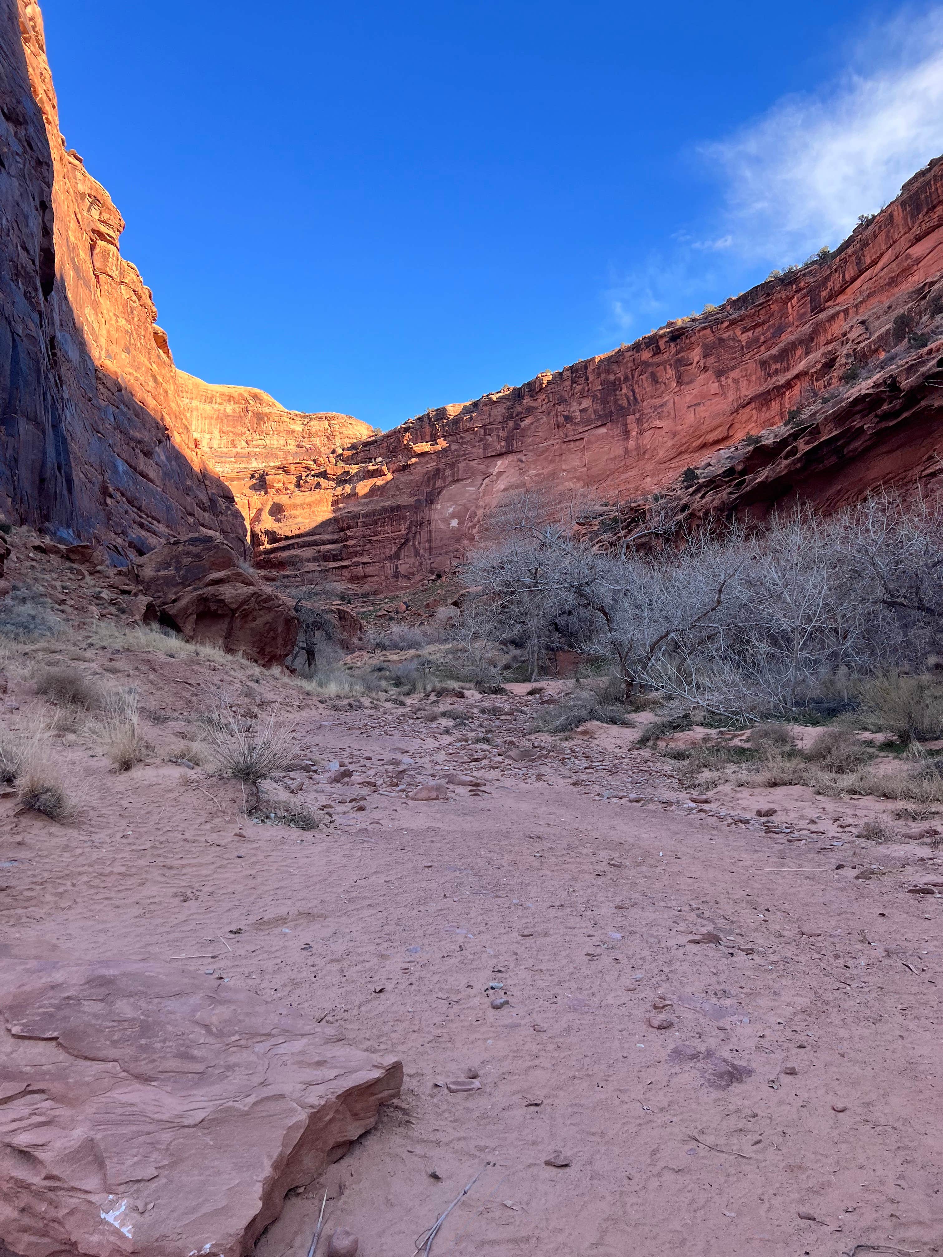 Camper submitted image from Hunter Canyon Spring Camping Area - 2