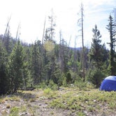 Review photo of Ute Pass Dispersed Camping by Jeana P., July 9, 2018