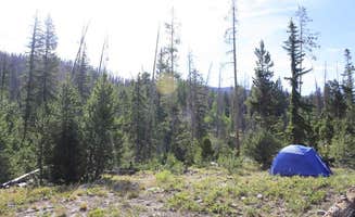 Jeana P.'s photo at Ute Pass Dispersed Camping in Colorado