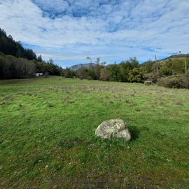 Campground Meadow