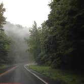 Review photo of Camping in the Smokies by david B., January 26, 2022