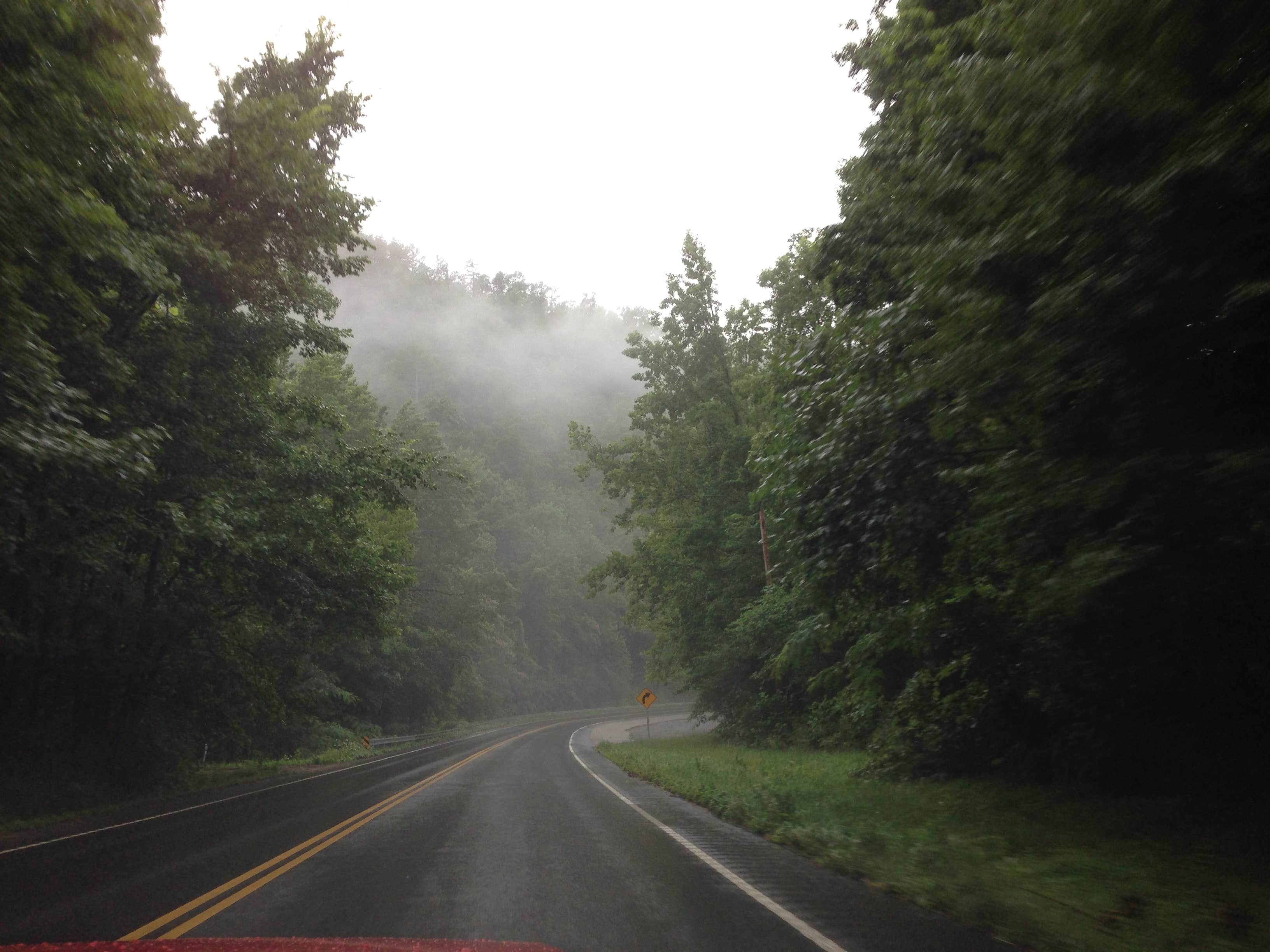 Camper submitted image from Camping in the Smokies - 3