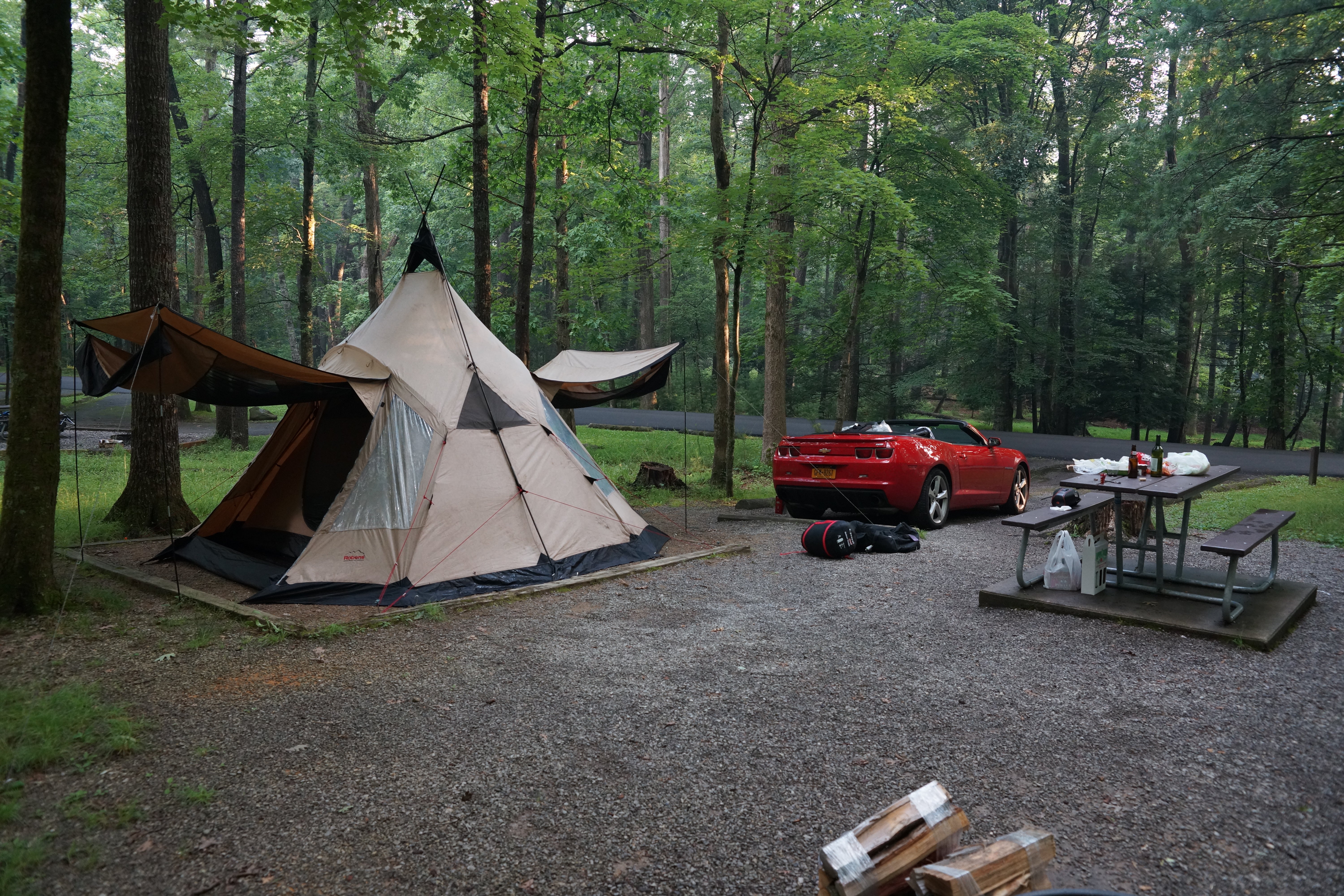 Camper submitted image from Camping in the Smokies - 1