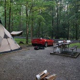 Review photo of Camping in the Smokies by david B., January 26, 2022