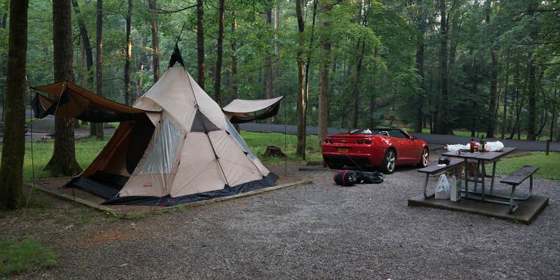 Camper submitted image from Camping in the Smokies
