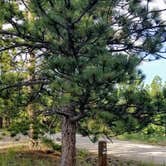 Review photo of Jacks Gulch - **CLOSED FOR SEASON** by Glenna L., July 9, 2018