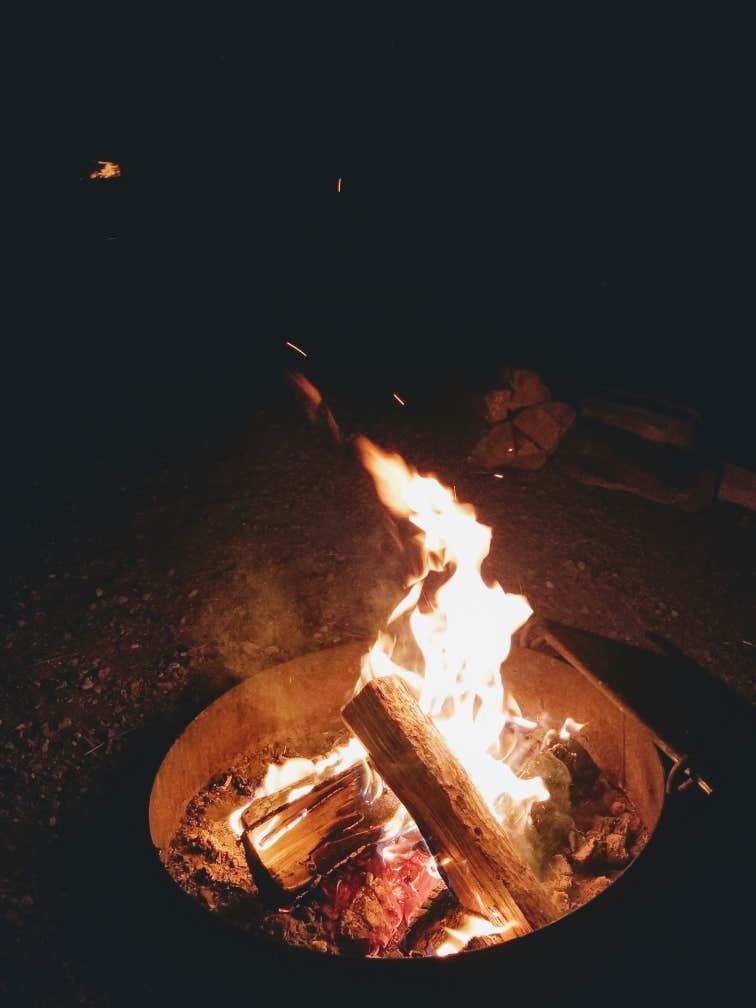 Camper submitted image from Jacks Gulch - **CLOSED FOR SEASON** - 5