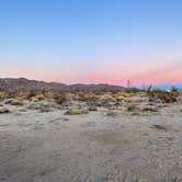 Review photo of Joshua Tree South - BLM Dispersed by Alyssa P., January 26, 2022