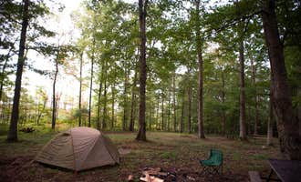 Camping near Big Bear Lake Camplands: Tall Oaks Campground, Farmington, Pennsylvania
