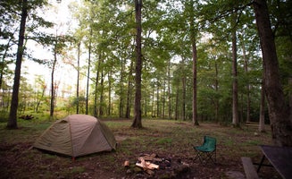 Camper-submitted photo from Tall Oaks Campground