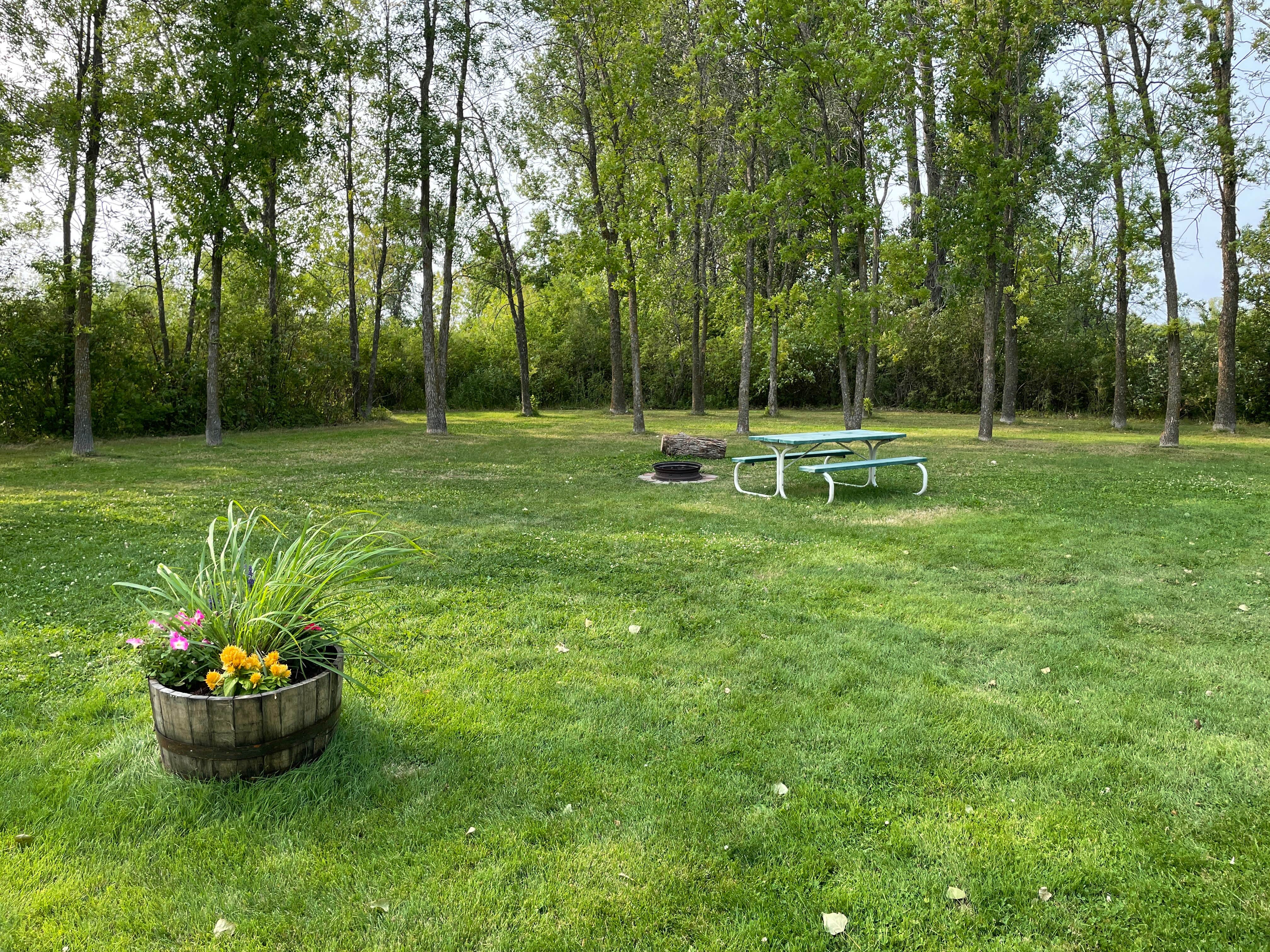 Camper submitted image from Swan Lake Resort & Campground - 2