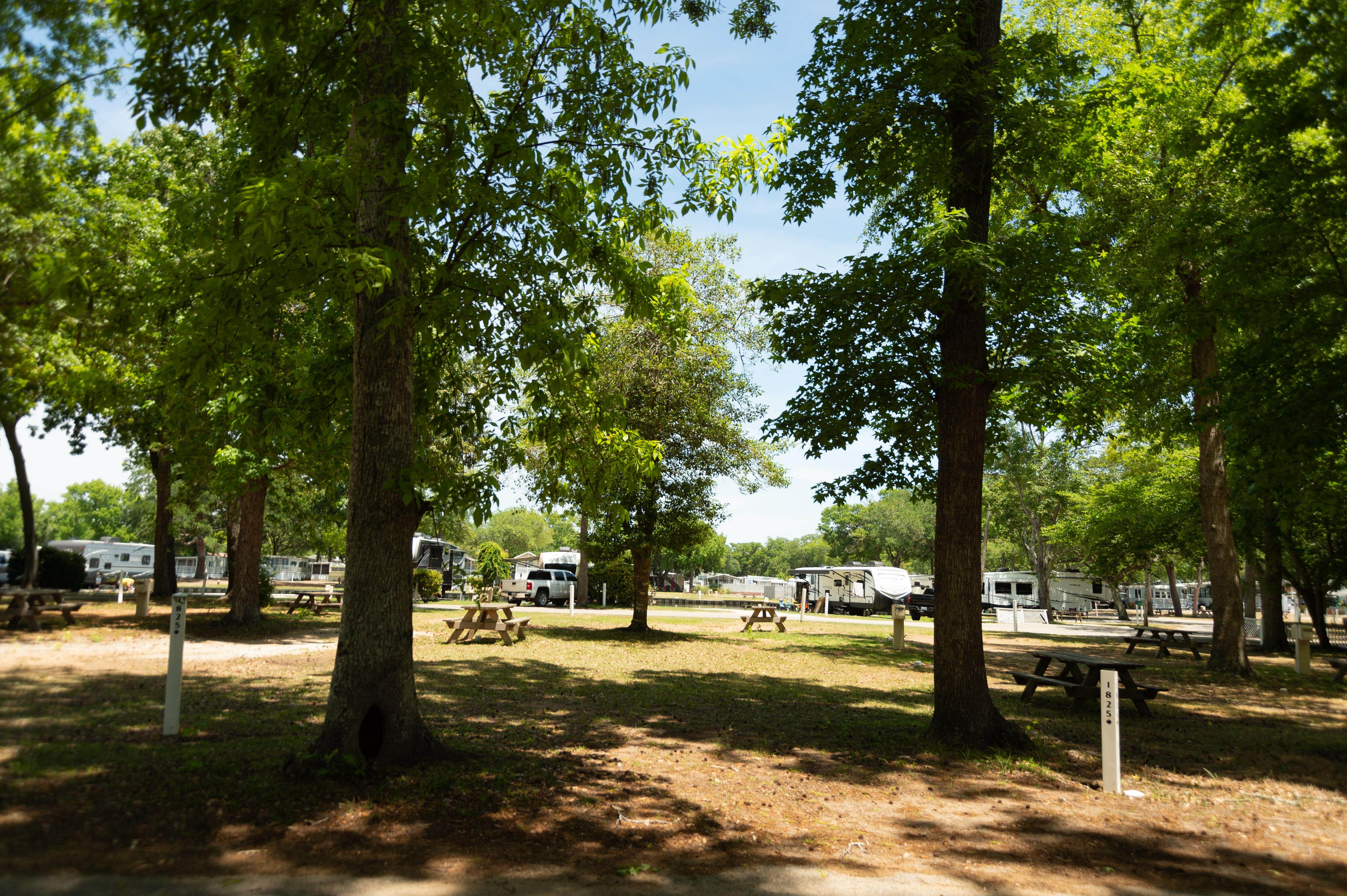 Camper-submitted photo at Lakewood Camping Resort near North Myrtle Beach, SC