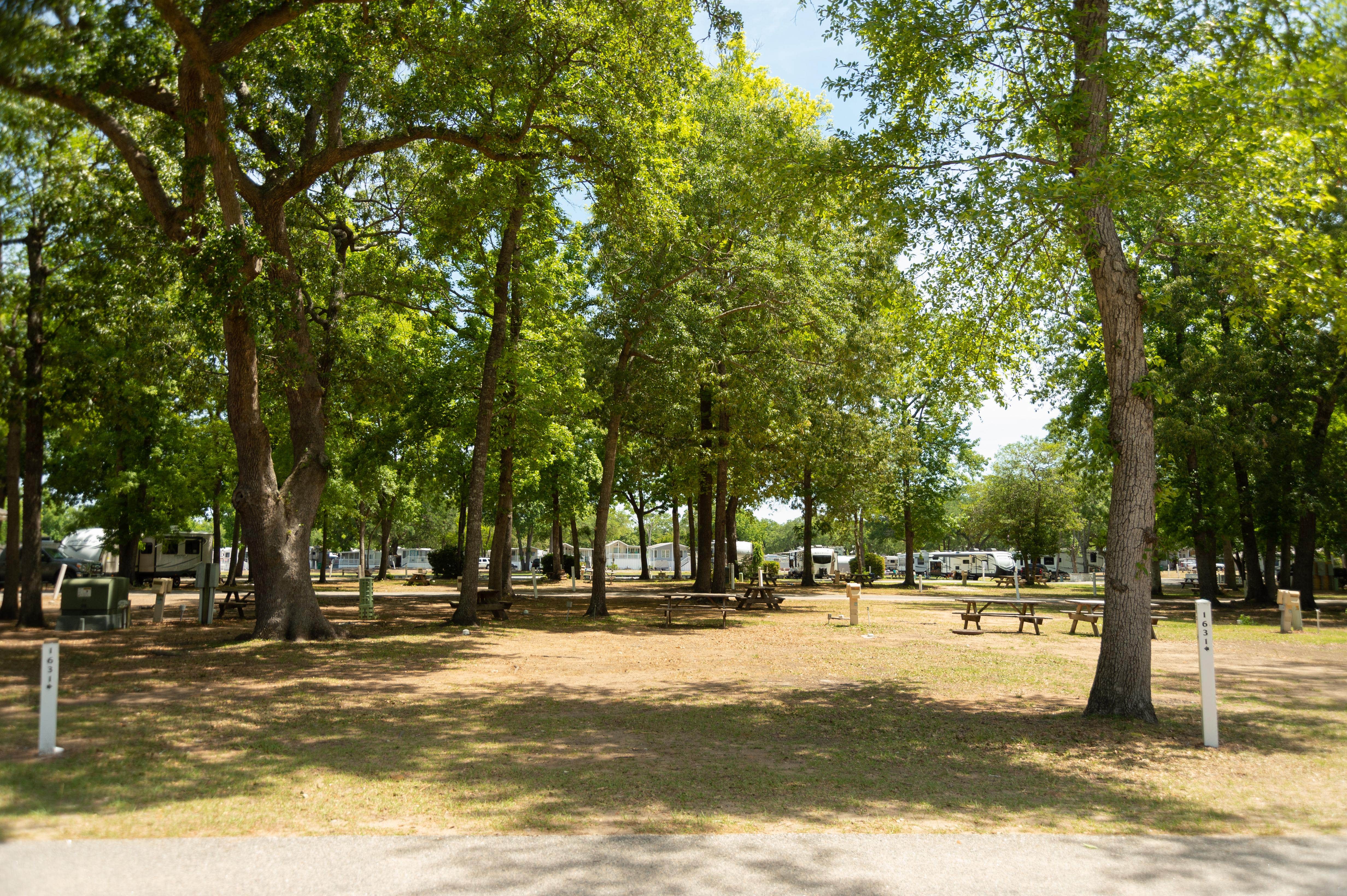Camper-submitted photo at Lakewood Camping Resort near North Myrtle Beach, SC
